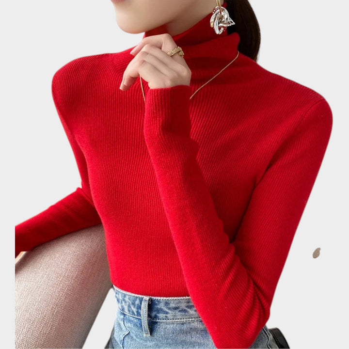 Ribbed Turtleneck Knitted Jumper